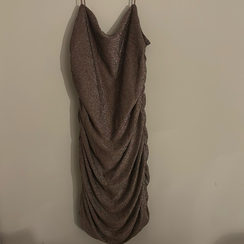 Runched Shimmery Dress (Large)